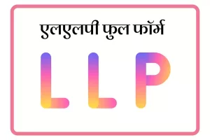 LLP Full Form In Marathi