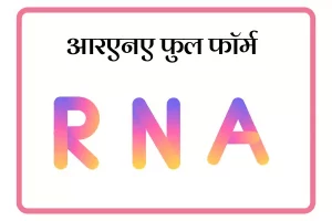 RNA Full Form In Marathi