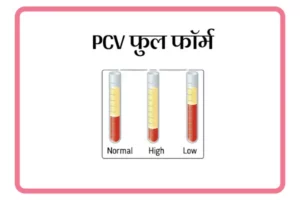 PCV Full Form In Marathi