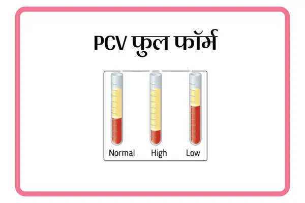 PCV Full Form In Marathi