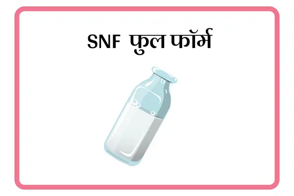 SNF Full Form In Marathi